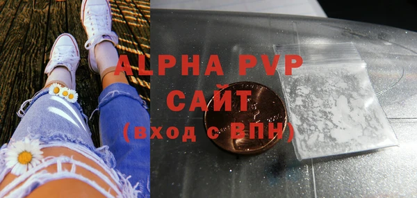 сатива Аркадак