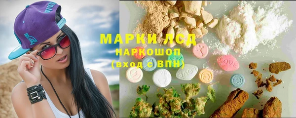 сатива Аркадак