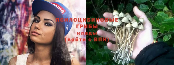 винт Армянск