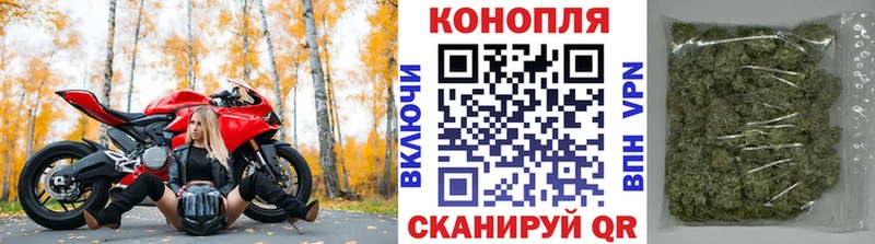 Бошки марихуана THC 21% Солигалич